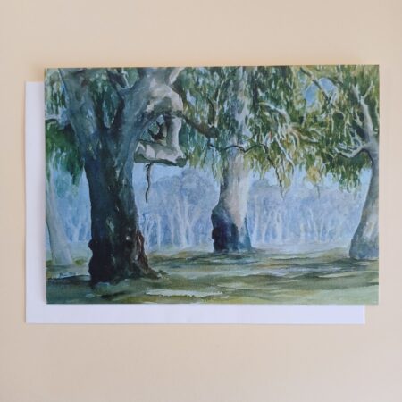 6739  Murray River Region [$12.00 Pack Of 6 Cards @ $2.00 Each]