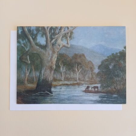 7003  Cattle In The River [$12.00 Pack Of 6 Cards @ $2.00 Each]